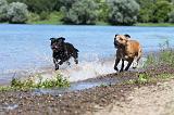 STAFFIE 199